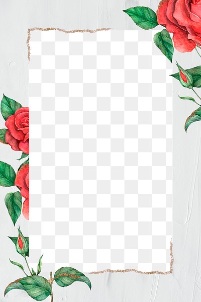 Blooming rose frame png transparent | Free PNG - rawpixel