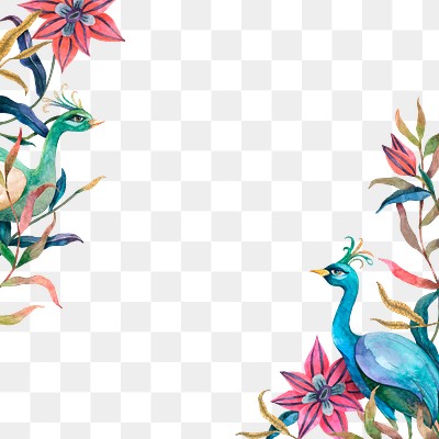 Png frame watercolor peacock and | Premium PNG - rawpixel