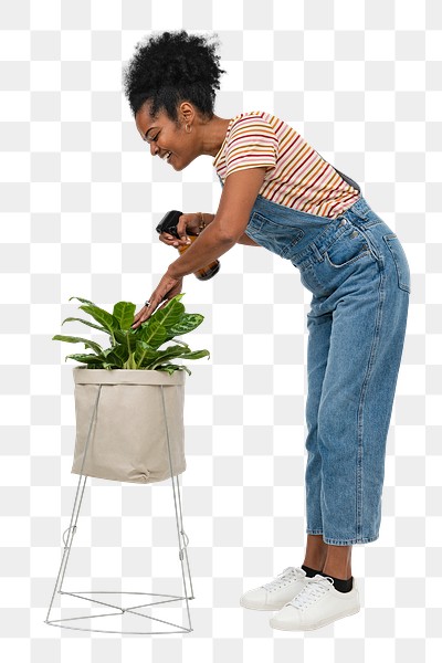 Png plant parent mockup taking care of her calathea plant