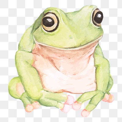 Premium Vector  Cute frog illustration