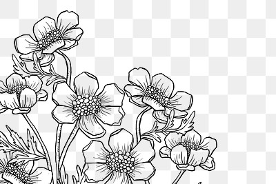 Floral line art png border, | Premium PNG - rawpixel