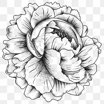 Doodle Icon Rose Flower Traditional Tattoo Stock Vector Royalty Free  530588548  Shutterstock