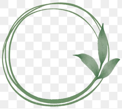 Green Maple Leaf Png - Sugar Maple Leaf Stem, Transparent Png , Transparent  Png Image - PNGitem