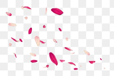 Png pink flower petals background, | Premium PNG - rawpixel