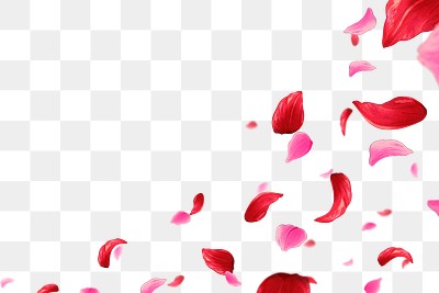 Png flower petals border, ukiyo | Premium PNG - rawpixel