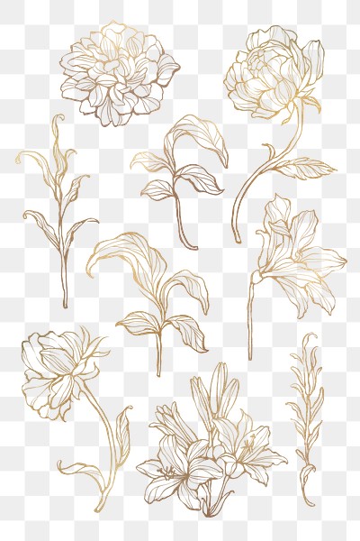 Gold floral outline set transparent | Free PNG Sticker - rawpixel