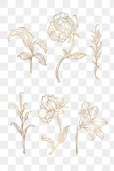 Golden floral set png | Free stock illustration | High Resolution graphic