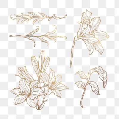 Golden floral set png | Free stock illustration | High Resolution graphic