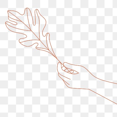 Aesthetic | Transparent background PNG image and graphic | rawpixel