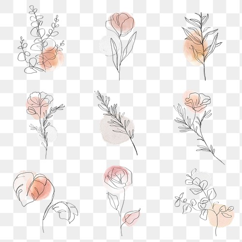 Minimalist Flower PNG Images | Free Vectors, PNGs, Mockups