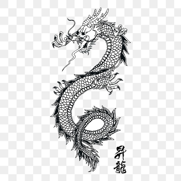 Chinese dragon png sticker, vintage | Free PNG - rawpixel
