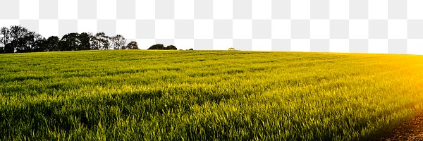 Png sunset farmland border sticker, | Free PNG - rawpixel