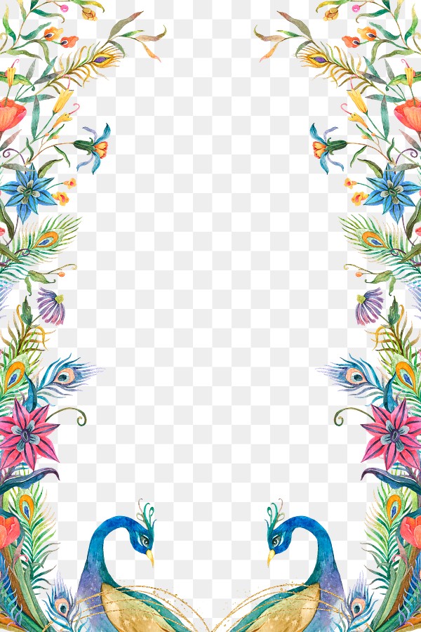 Png peacock & flower border | Premium PNG - rawpixel