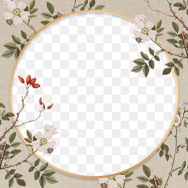 gold floral round frame png royalty free stock transparent png 2622727 download premium png of gold floral round frame png 2622727