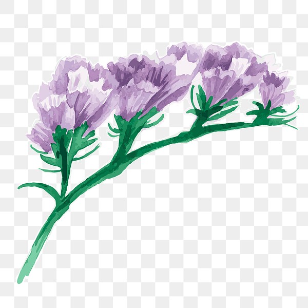 Purple flower transparent png watercolor | Premium PNG Sticker - rawpixel