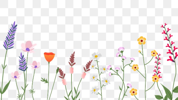 Png wildflower border transparent background | Premium PNG Sticker ...