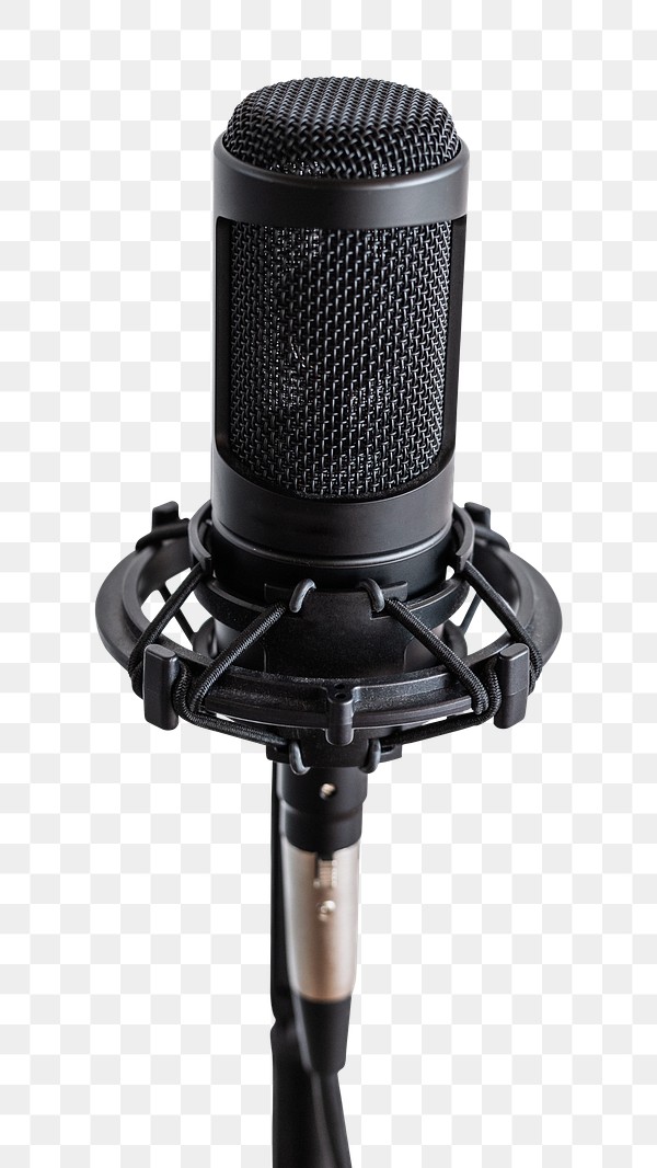 Professional Condenser Microphone In A Studio 