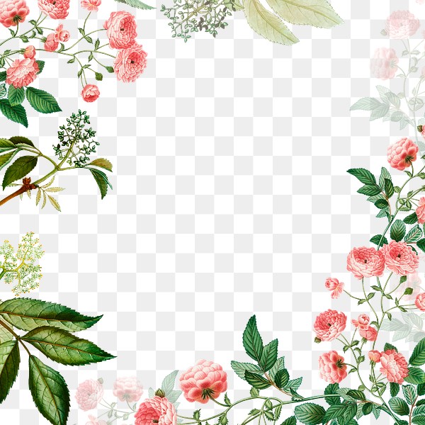 Botanical frame design transparent png | Premium PNG - rawpixel