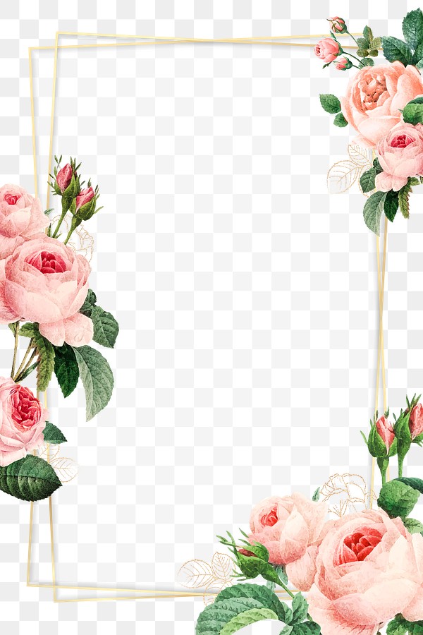 Pink cabbage rose pattern gold | Premium PNG - rawpixel
