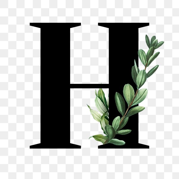 Botanical capital letter H transparent | Premium PNG Sticker - rawpixel