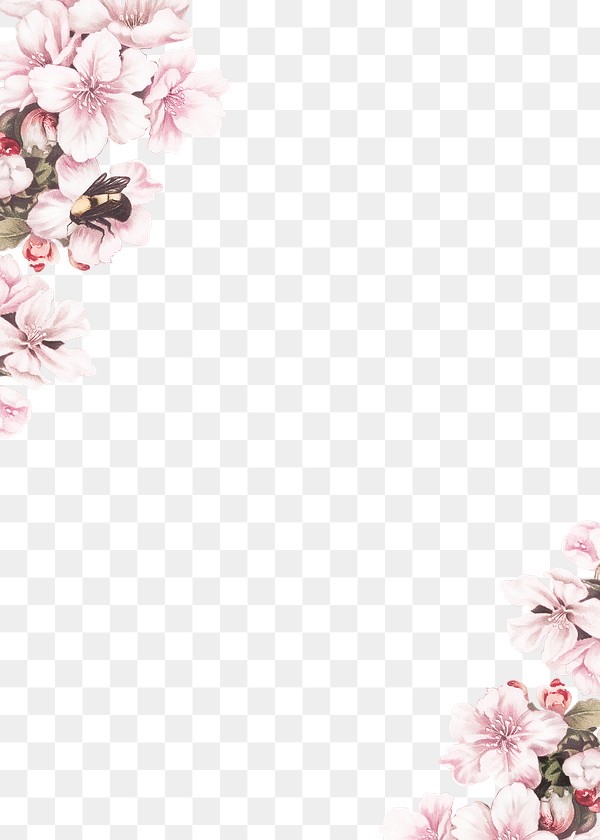 Cherry blossom flower border frame | Premium PNG - rawpixel