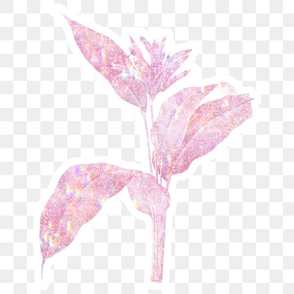 Pink holographic heliconia sticker with a white | Free PNG Sticker
