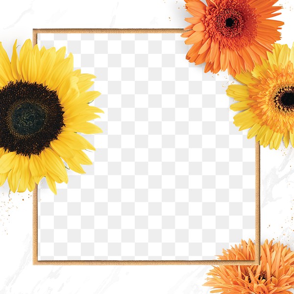 Gold square blooming sunflower frame | Premium PNG - rawpixel