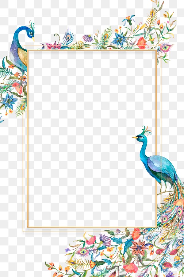 Png frame watercolor peacock and | Premium PNG - rawpixel