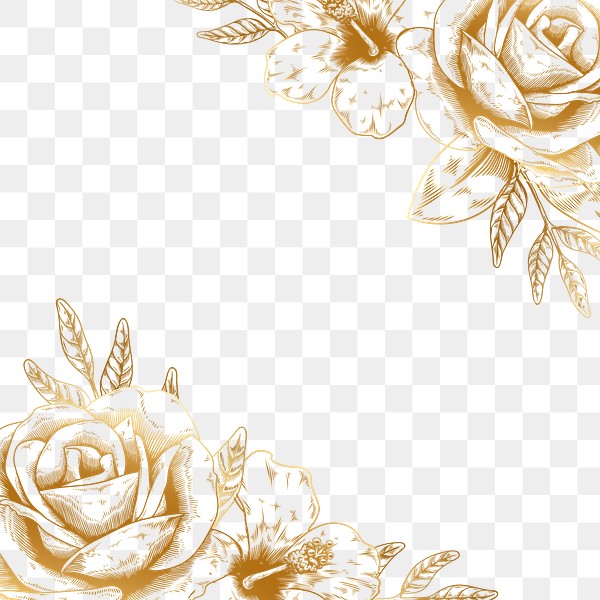 Hand Drawn Gold Rose Border Premium Png Rawpixel