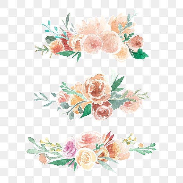 Flower watercolor png sticker, orange | Premium PNG - rawpixel