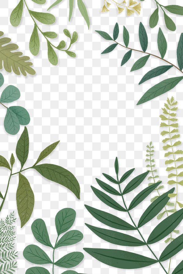 Green leaves frame transparent png | Premium PNG - rawpixel