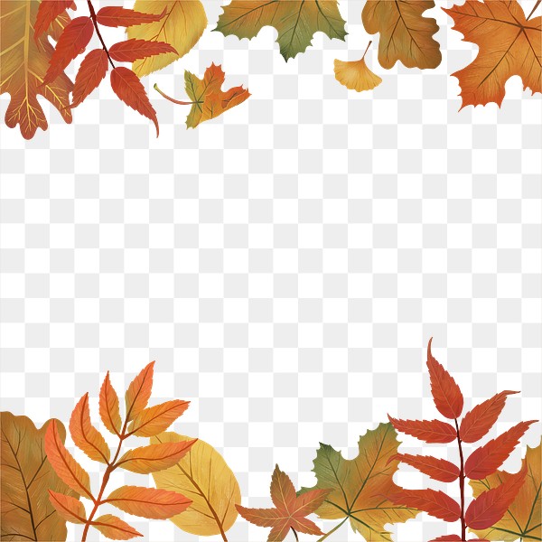 Fall leaves png background transparent | Premium PNG - rawpixel