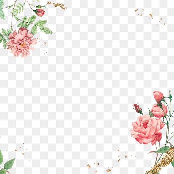 booming rose frame png royalty free stock transparent png 2228937 download premium png of vintage pink rose frame transparent png 2228937