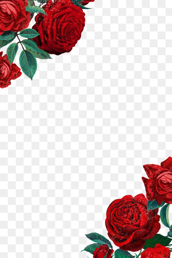 Red Rose Png Border Frame Premium PNG Rawpixel