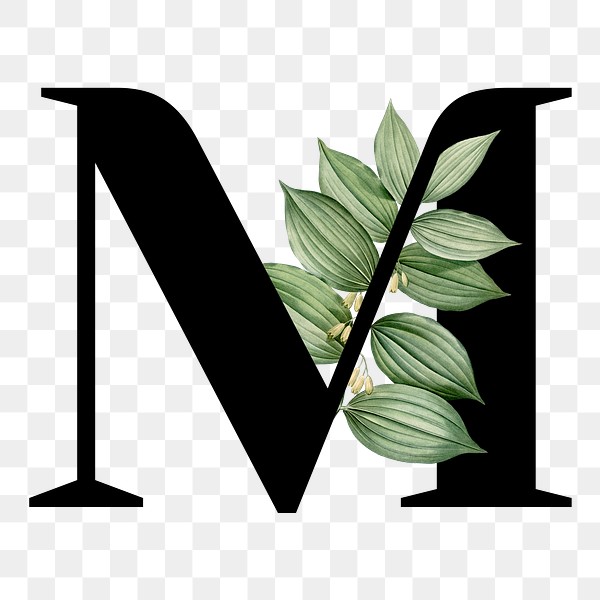 botanical font letter m royalty free stock transparent png 584791 download premium png of botanical capital letter m transparent png 584791