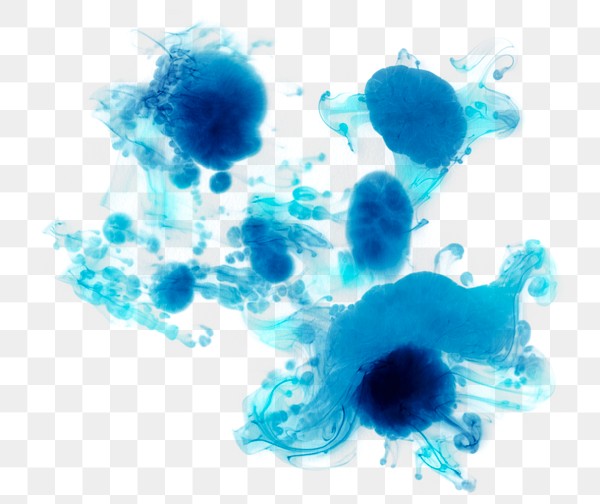 blue paint splash png royalty free stock transparent png 2042657 download premium png of abstract splashed blue watercolor background