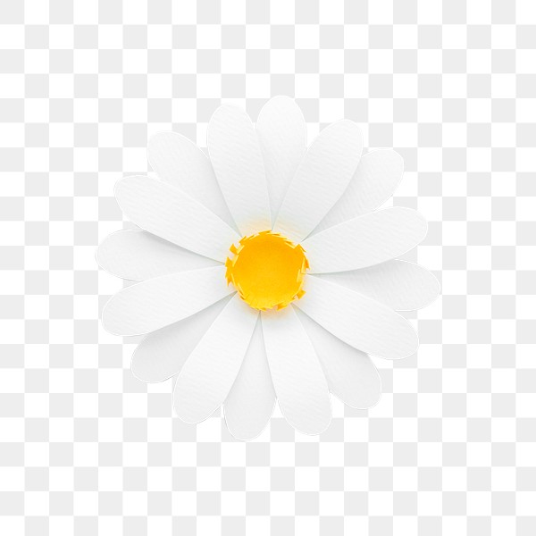 paper daisy flower png royalty free stock transparent png 2025449 download premium png of white daisy transparent png 2025449