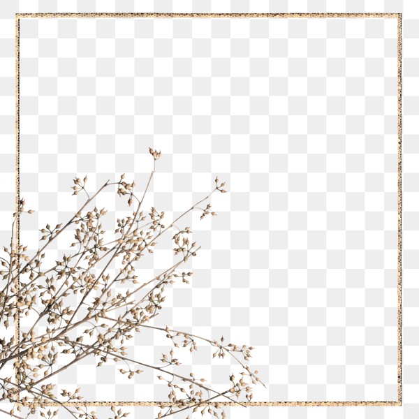 Brown twigs square frame design | Premium PNG - rawpixel