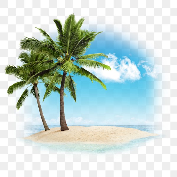 Beach png sticker transparent background | Premium PNG - rawpixel