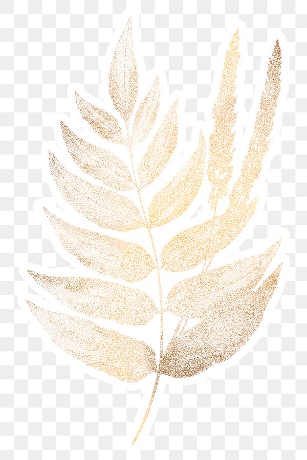 golden fern leaves sticker overlay design element free transparent png 2389280 golden fern leaves sticker overlay