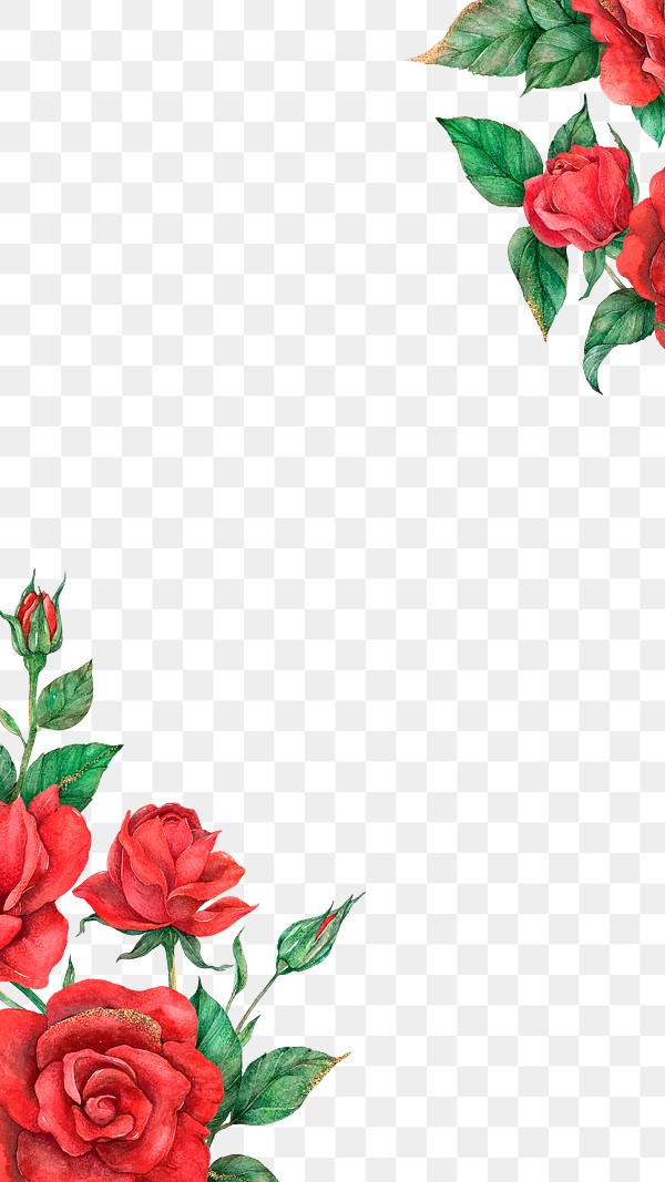 red rose border frame png for social media post royalty free stock transparent png 2756302 rawpixel