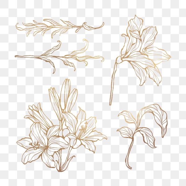 Golden floral set png | Free stock illustration | High Resolution graphic