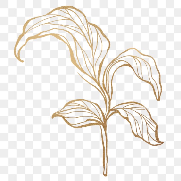 Golden leaf png | Free stock illustration | High Resolution graphic