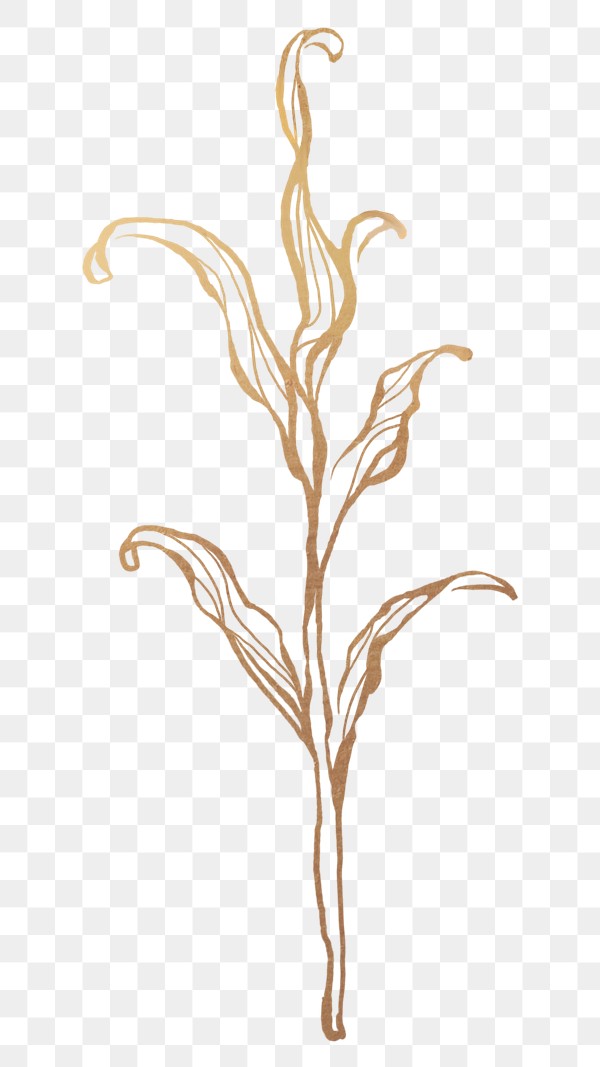 golden leaf png royalty free stock transparent png 2019728 download premium png of gold leaves outline transparent png 2019728