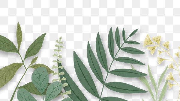 green leaves border transparent png royalty free stock transparent png 2256056 download premium png of green leaves border transparent png 2256056