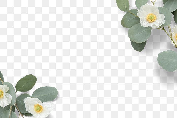 Flower PNG Images | Free PNG Vector Graphics, Effects & Backgrounds