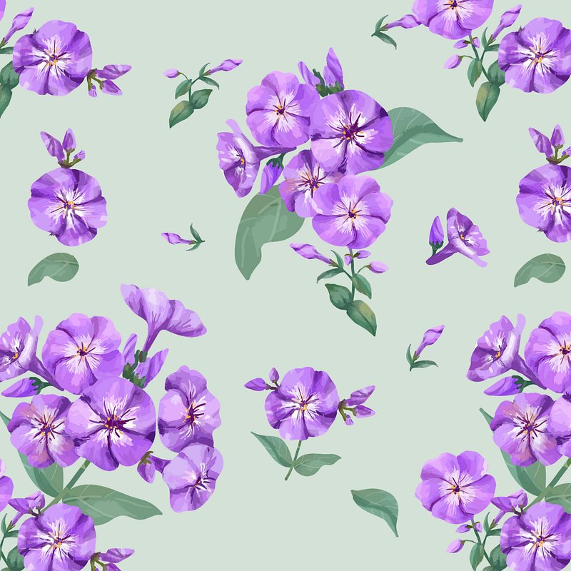 Lavender flower png sticker, floral | Premium PNG - rawpixel