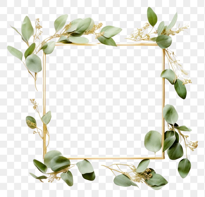 Green floral frametransparent png, premium image by rawpixel.com / Noon  #picture #photography #inspiration …
