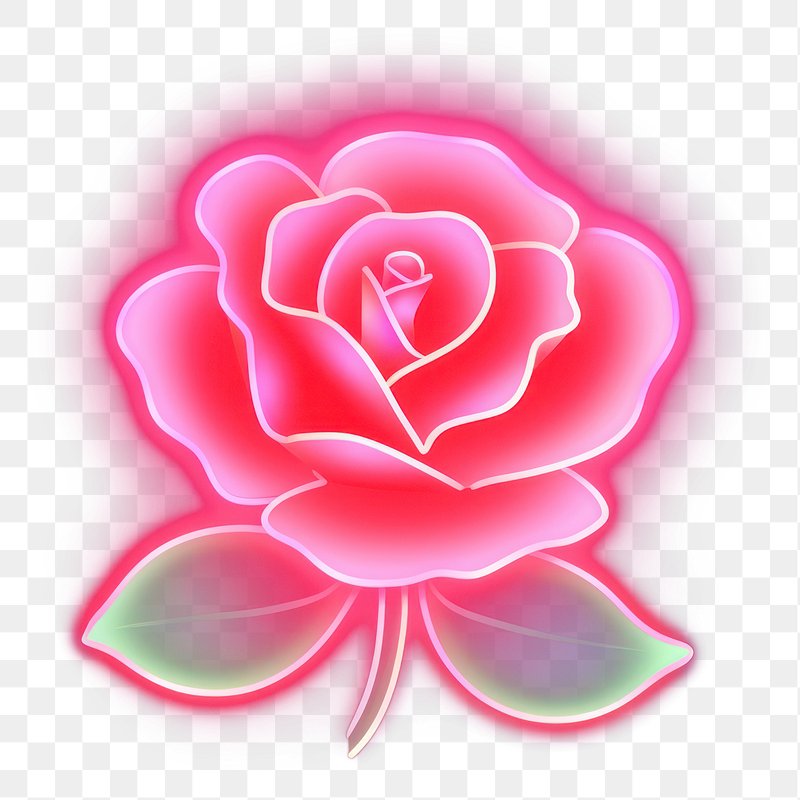 Neon pink rose mockup  premium image by rawpixel.com