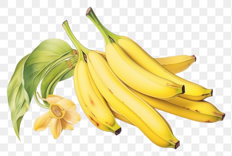 Banana Fruit Outline Icon Stock Illustration - Download Image Now - Banana,  Line Art, Outline - iStock